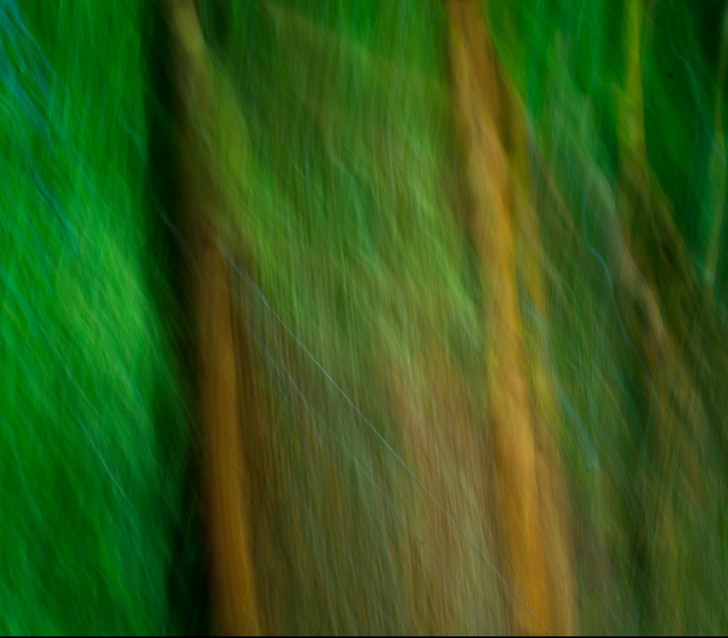 Studio Totem - Helene Anne Fortin